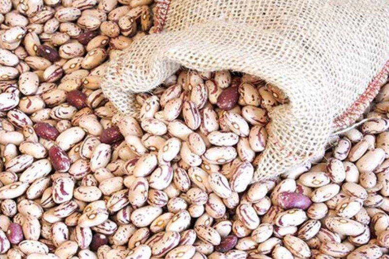 قیمت لوبیا چیتی عمده بدون واسطه از کشاورز_ امروز _خرید _فروش_ beans